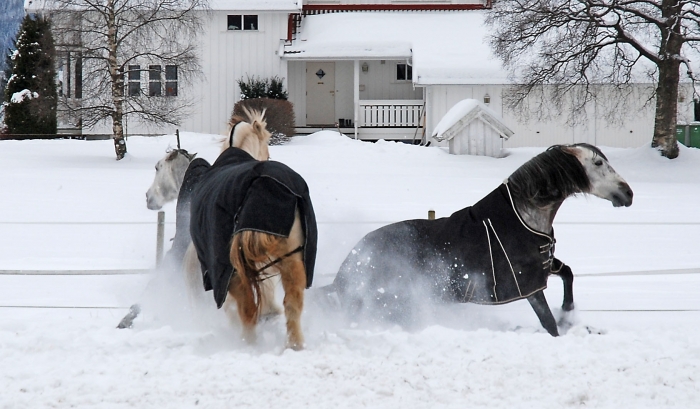 Estupendo y Esplendida en Oslo